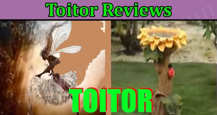 Toitor Online Website Reviews