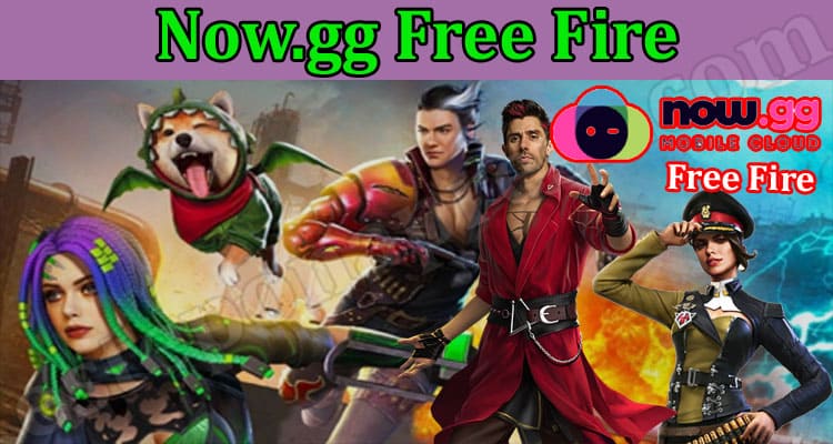 Now.GG Free Fire {Mar} Find If Can Play Without Install