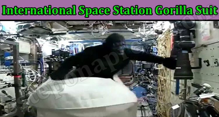 Latest News International Space Station Gorilla Suit