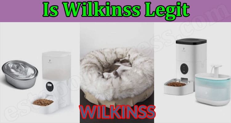 Is Wilkinss Legit (Jan) Read Detailed Website Reviews!