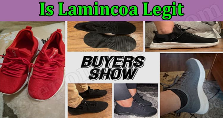 Is Lamincoa Legit (Feb 2022) Check Detailed Reviews!