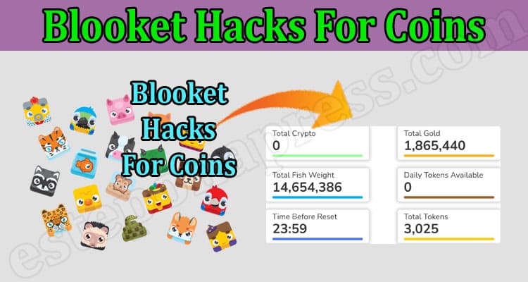 Blooket Hacks For Coins {Mar} Find Steps To Gain It!