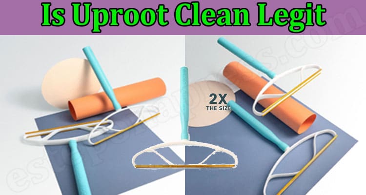 Uproot Clean Online Website Reviews
