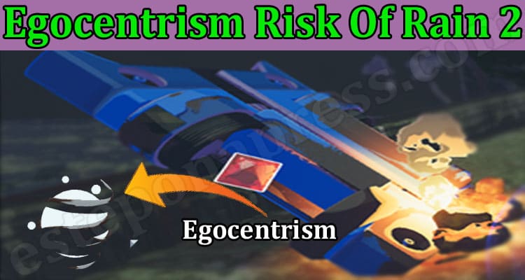 Gaming Tips Egocentrism Risk Of Rain 2