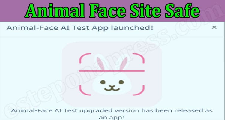 Animal face ai test