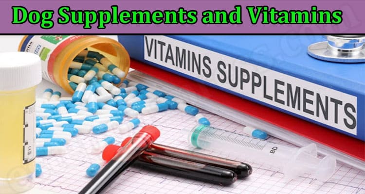 Latest News Dog Supplements and Vitamins
