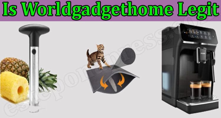 Is Worldgadgethome Legit {March} Read Reviews In Detail!