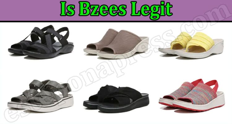 Bzees Online Website Reviews