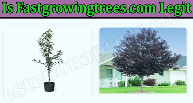 Is Fastgrowingtrees.com Legit {April} Quick Review!
