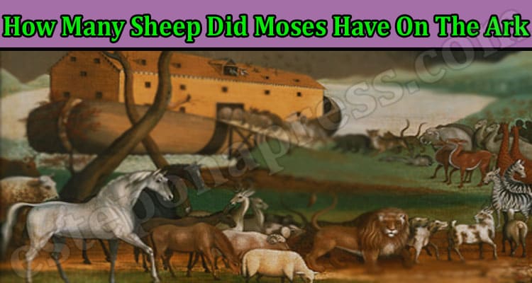 Gaming Tips How Many Sheep Did Moses Have On The Ark