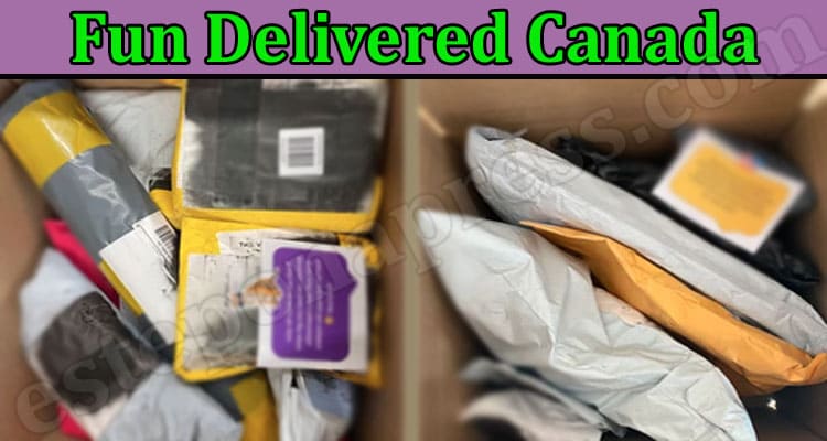 Fun Delivered Canada {Nov} Auction for Return Products