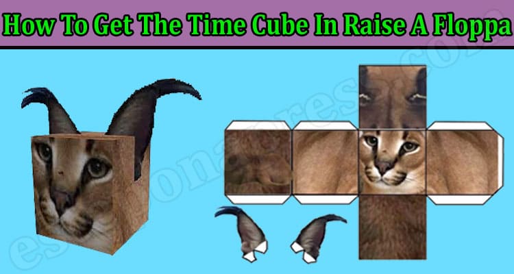 Latest News How To Get The Time Cube In Raise A Floppa