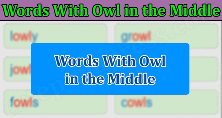 Words With Owl in the Middle (April 2022) All Facts!