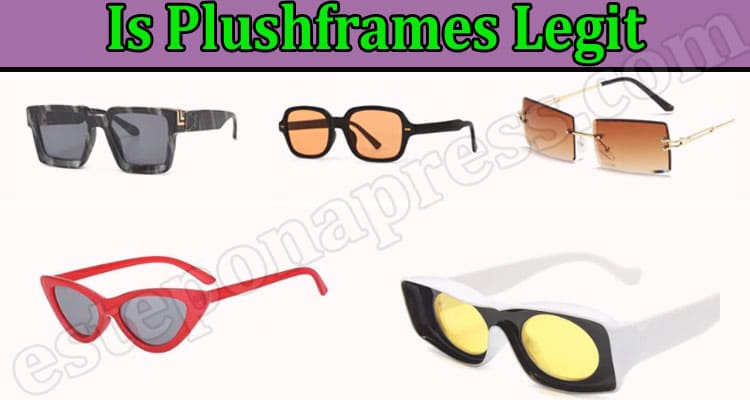 Is Plushframes Legit {May 2022} Get The Entire Reviews!