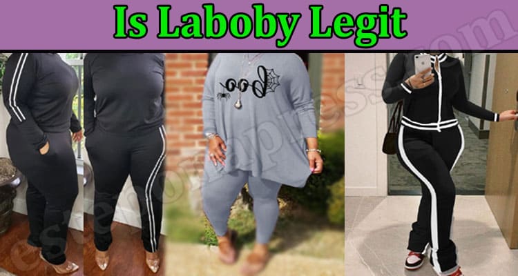 Is Laboby Legit {June} Read A Comprehensive Review Here!