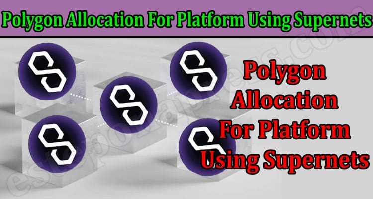 Latest News Polygon Allocation For Platform Using Supernets