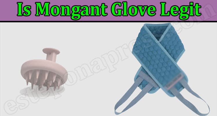 Is Mongant Glove Legit {June 2022} Know The Reviews!