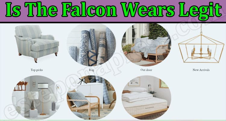 The Falcon Wears Online Website Reviews