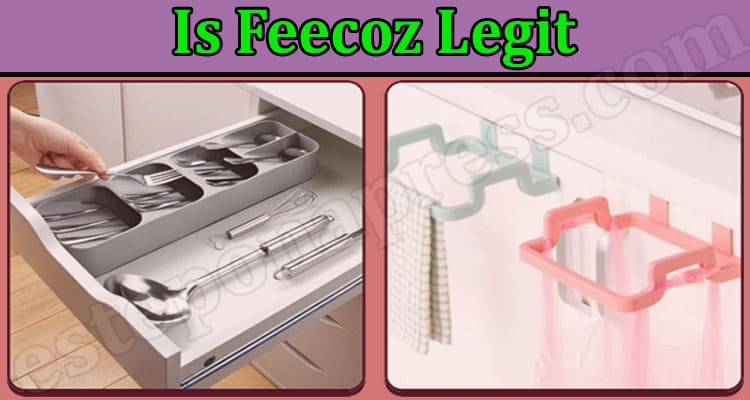 Feecoz Online Website Review