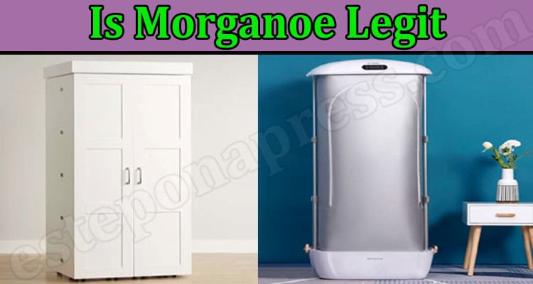 Is Morganoe Legit {Aug 2022} Know Correct Review Now!