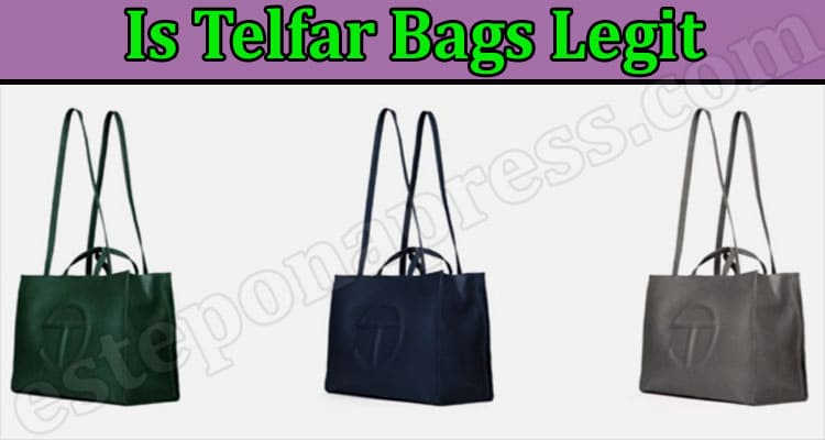 Is Telfar Bags Legit Online Website Reviews