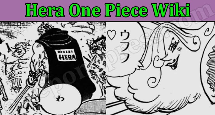 Latest News Hera One Piece Wiki