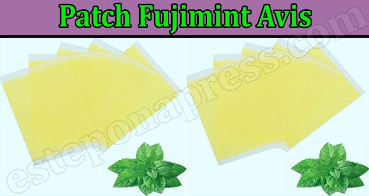 Patch Fujimint Online Avis