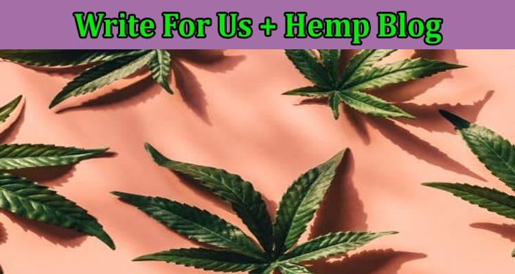 Write For Us + Hemp Blog – Read The Instructions Here!