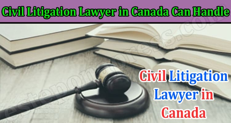 Types of Cases a Civil Litigation Lawyer in Canada Can Handle
