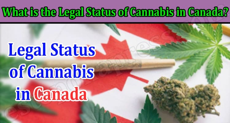 What is the Legal Status of Cannabis in Canada