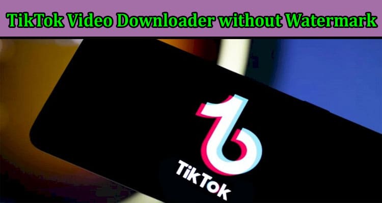 TikTok Video Downloader without Watermark – Makes TikTok Video Downloading Hassle-Free 