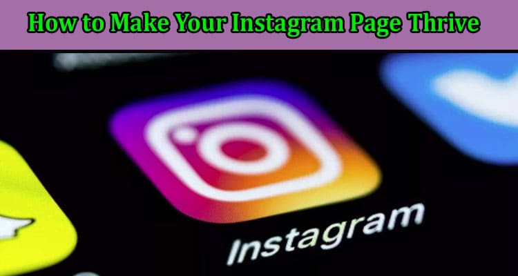 How to Make Your Instagram Page Thrive