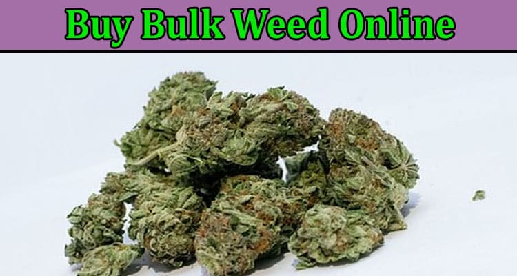 6 Reasons A Beginner Should Prefer To Buy Bulk Weed Online