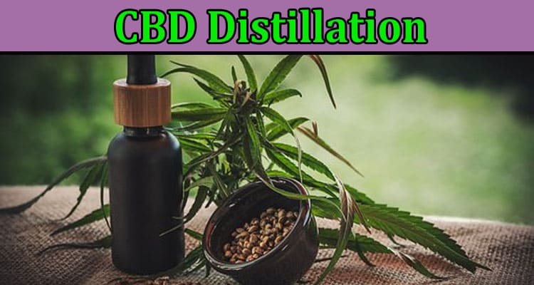 Why is Everyone Talking about CBD Distillation