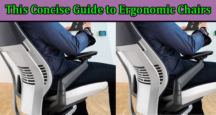 The Money You Save With This Concise Guide to Ergonomic Chairs