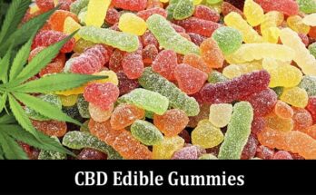 Complete Information About Health Benefits of CBD Edible Gummies You Need to Know