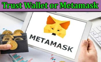 Complete Infomration About Pick Correctly - Details About Trust Wallet or Metamask
