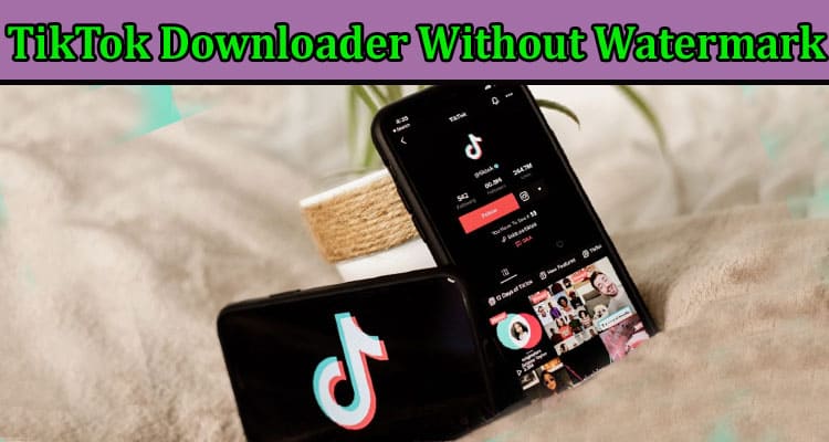Complete Information About PPPTik.com - A Free and Best TikTok Downloader Without Watermark