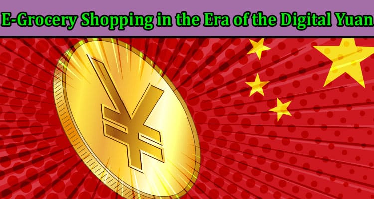 Complete Information About E-Grocery Shopping in the Era of the Digital Yuan - A Paradigm Shift