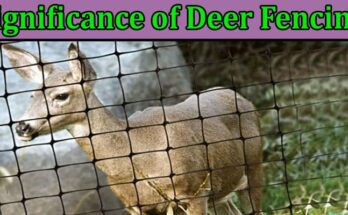 Complete Information About The Significance of Deer Fencing - Safeguarding Your Landscape and Preserving Your Crops