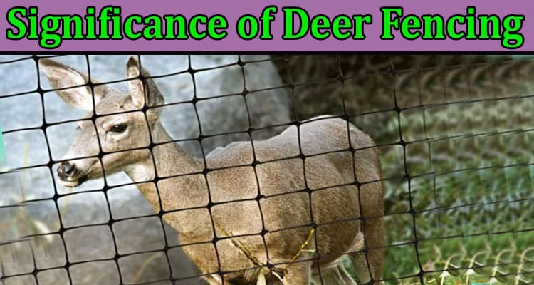 Complete Information About The Significance of Deer Fencing - Safeguarding Your Landscape and Preserving Your Crops