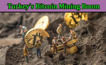 Complete Information About Turkey’s Bitcoin Mining Boom - A Journey Into Speculative Entrepreneurship