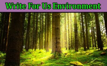 All Information About Write For Us Environment