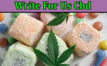 Complete A Guide to Write For Us Cbd