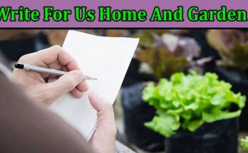 About General Information Write For Us Home And Garden