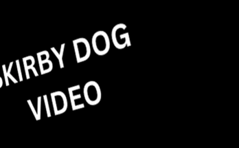 Latest News Skirby dog __videos Twitter