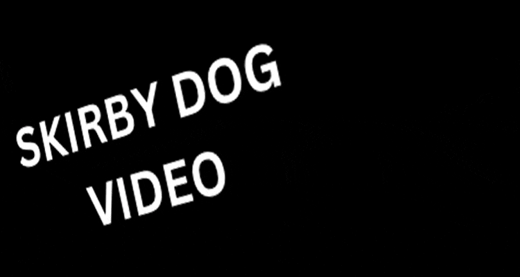 Latest News Skirby dog __videos Twitter